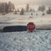 stop sign in snow