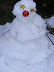 cooky snowman
