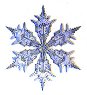 icy snowflake