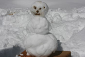 mr snowman