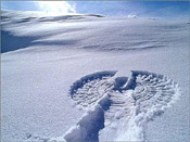 snow angel