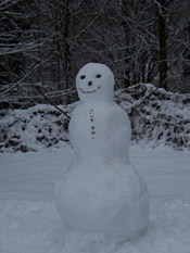 snowman picture